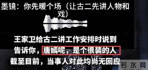 陪睡陪玩只是冰山一角！原来怒斥王家卫的向太，才是真正的局中人
