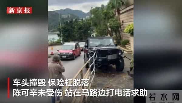 吴君如名导男友陈可辛出车祸! 「撞倒2米路树」原因曝被赞善良