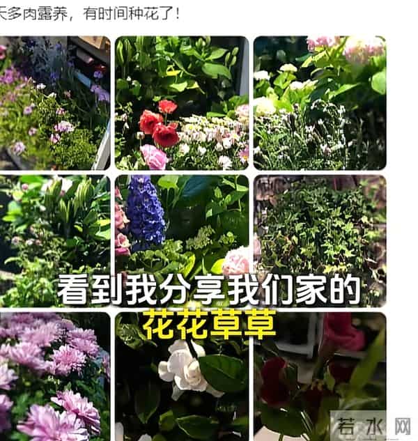 破产后，王中磊搬新家还住别墅，院子稀稀拉拉，老婆叹回不到以前