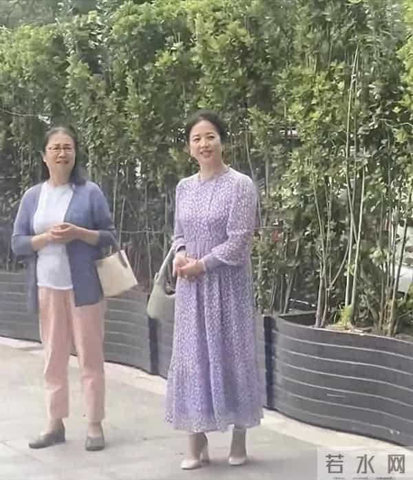 天呐！刘亦菲妈妈被偶遇，都 65 岁了，还是美得不像话！太让人羡慕