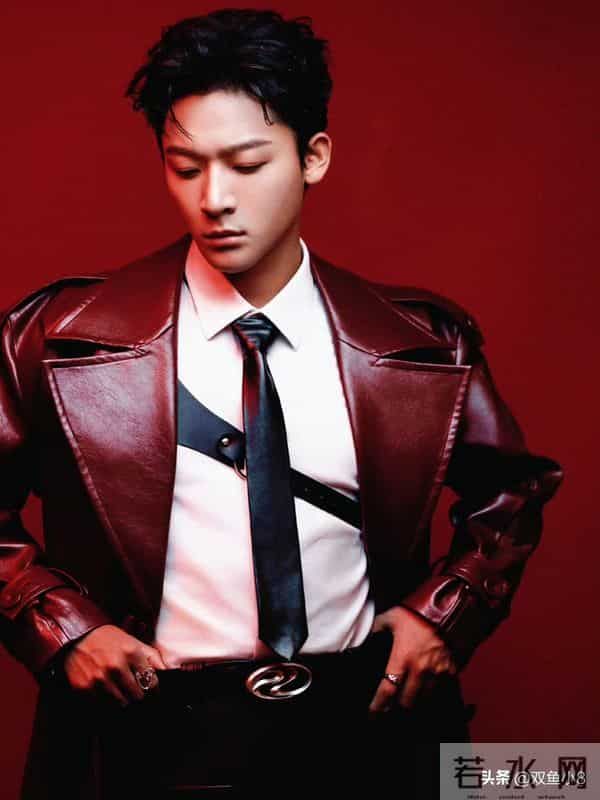 杨紫、张晚意、迪丽热巴、赵露思、陈伟霆、北京现代EO羿欧