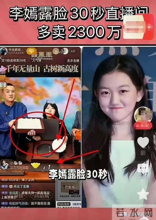 李亚鹏做梦也想不到,第一个肯为他说话的人,居然是向太陈岚