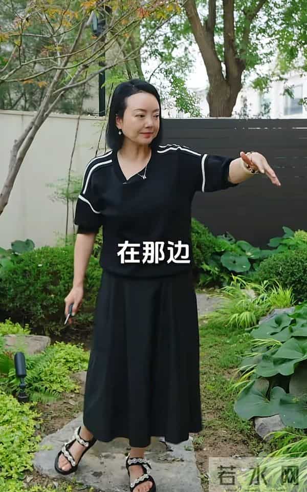 破产后，王中磊搬新家还住别墅，院子稀稀拉拉，老婆叹回不到以前