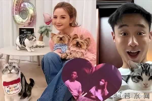 喜讯!蔡卓妍终于迎来新恋情,和小10岁健身教练正在热恋