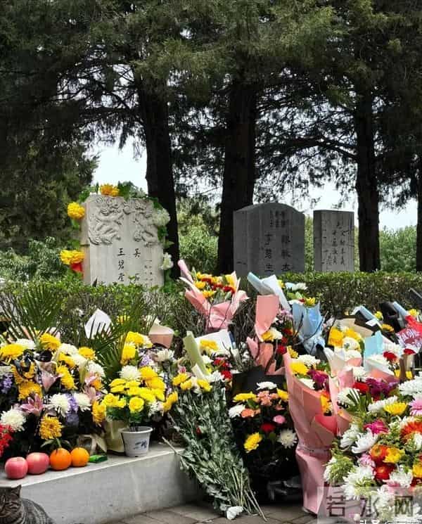 蔡孝乾墓地曝光,坟头长满荒草,墓碑不敢留名,凄凉超乎想象