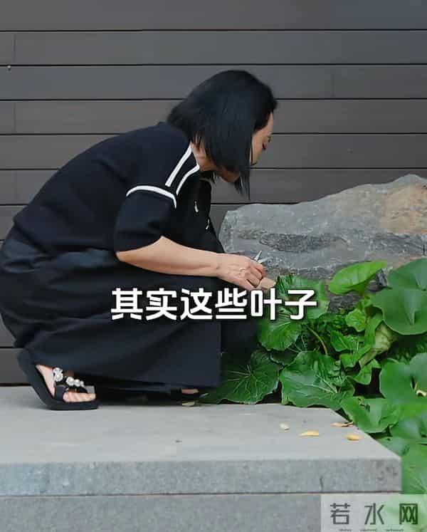 破产后，王中磊搬新家还住别墅，院子稀稀拉拉，老婆叹回不到以前