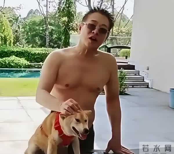 这次,被传换过心脏的李连杰公开回应,让“一夜回春”真相大白