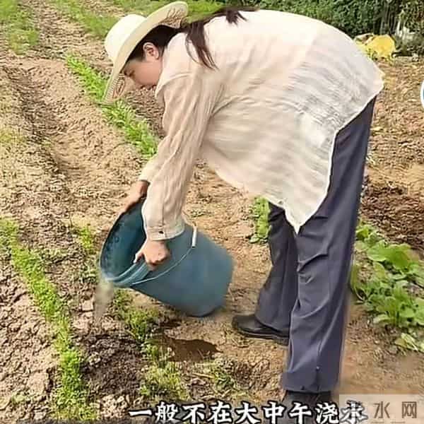 被称中戏第一美却至今未婚,48岁事业停摆后,农村种地还乐在其中