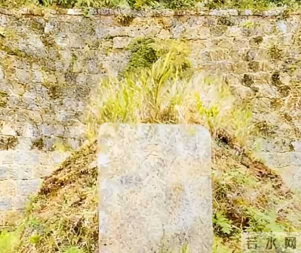 蔡孝乾墓地曝光,坟头长满荒草,墓碑不敢留名,凄凉超乎想象