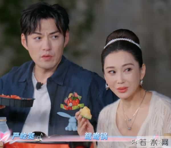 天声一对最敷衍的夫妻,唱歌对口型、拿冠军嘲讽人,陆毅还得恭维