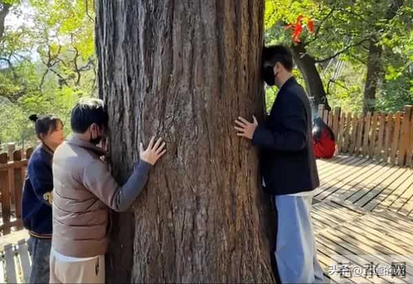 53岁辛柏青有气无力 站立需搀扶 丧妻后似丢了魂 和李乃文再拜大孤山