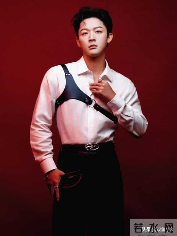 杨紫、张晚意、迪丽热巴、赵露思、陈伟霆、北京现代EO羿欧