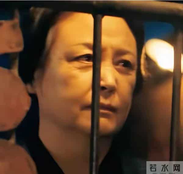 从主持人到演员，她为儿子息影，却在丈夫肝癌去世后，靠演技出圈