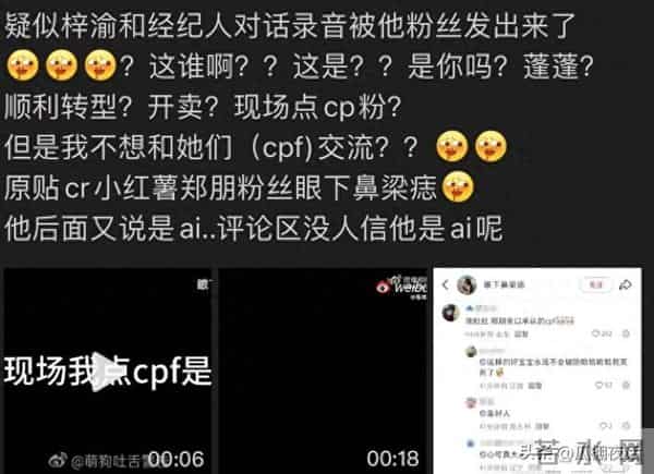林子大了什么鸟都有，梓瑜和经纪人对话录音疑似曝光，信息量太大