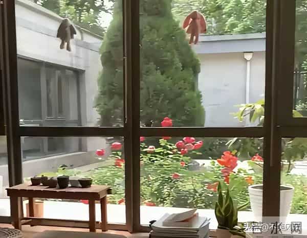 翁帆近况曝光,原来她并非大家想象的那样