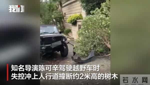 吴君如名导男友陈可辛出车祸! 「撞倒2米路树」原因曝被赞善良